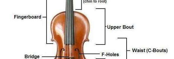 Learn These Violin Basics
