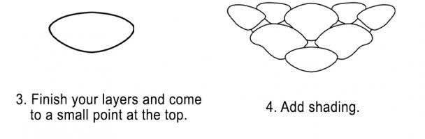 How to Draw a Pinecone Handout